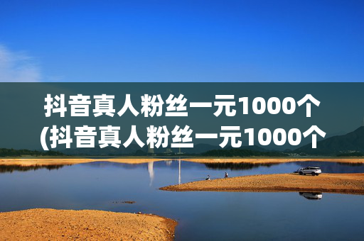 抖音真人粉丝一元1000个(抖音真人粉丝一元1000个怎么赚钱)